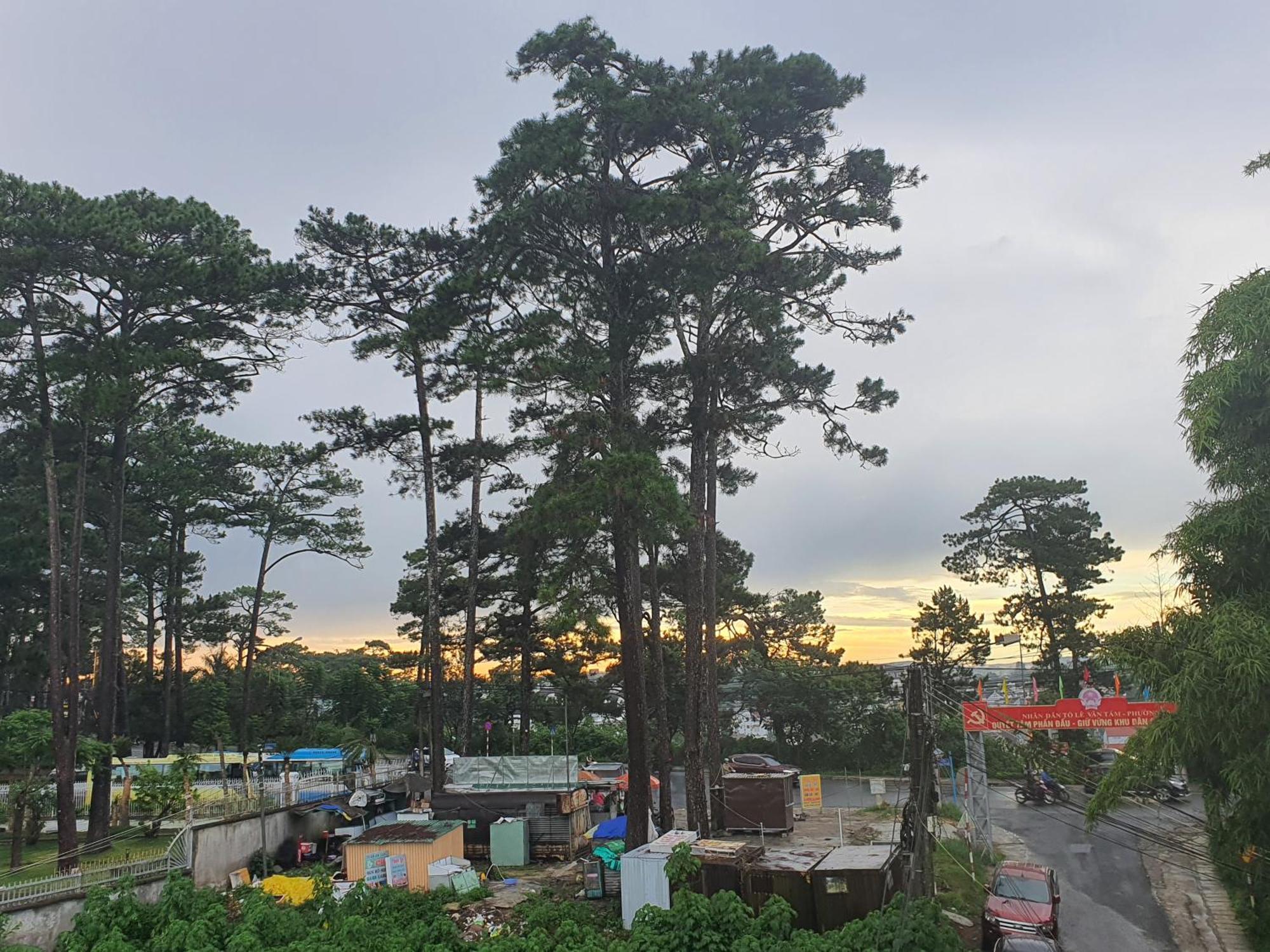 Duy Hotel Da Lat Dış mekan fotoğraf