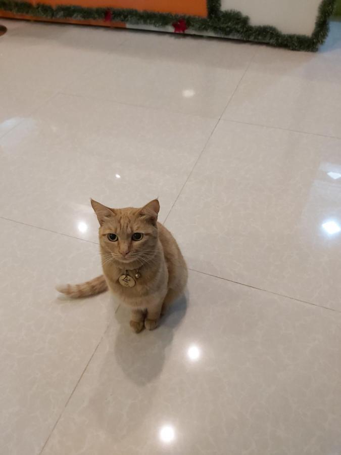 Duy Hotel Da Lat Dış mekan fotoğraf
